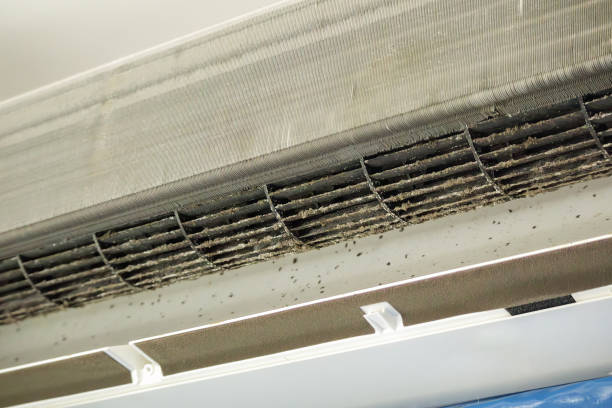 Best Commercial HVAC Duct Cleaning  in Ajo, AZ