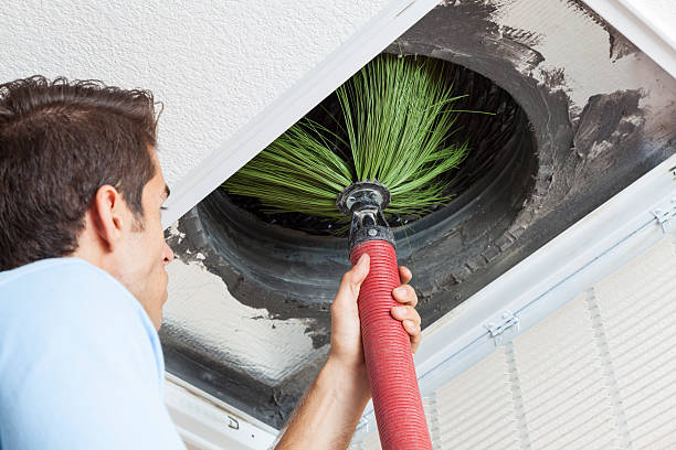 Best Home Air Vent Cleaning  in Ajo, AZ