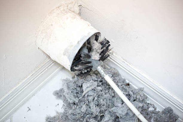 Best Air Duct Cleaning Near Me  in Ajo, AZ